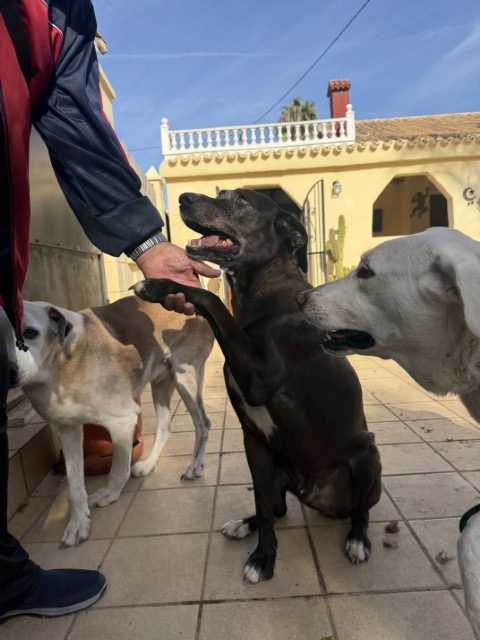 Remi (3) (Klein) (1)