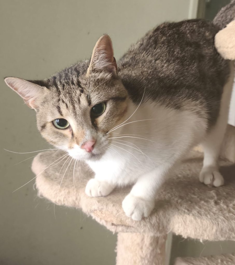 Julie en Chankira (10)