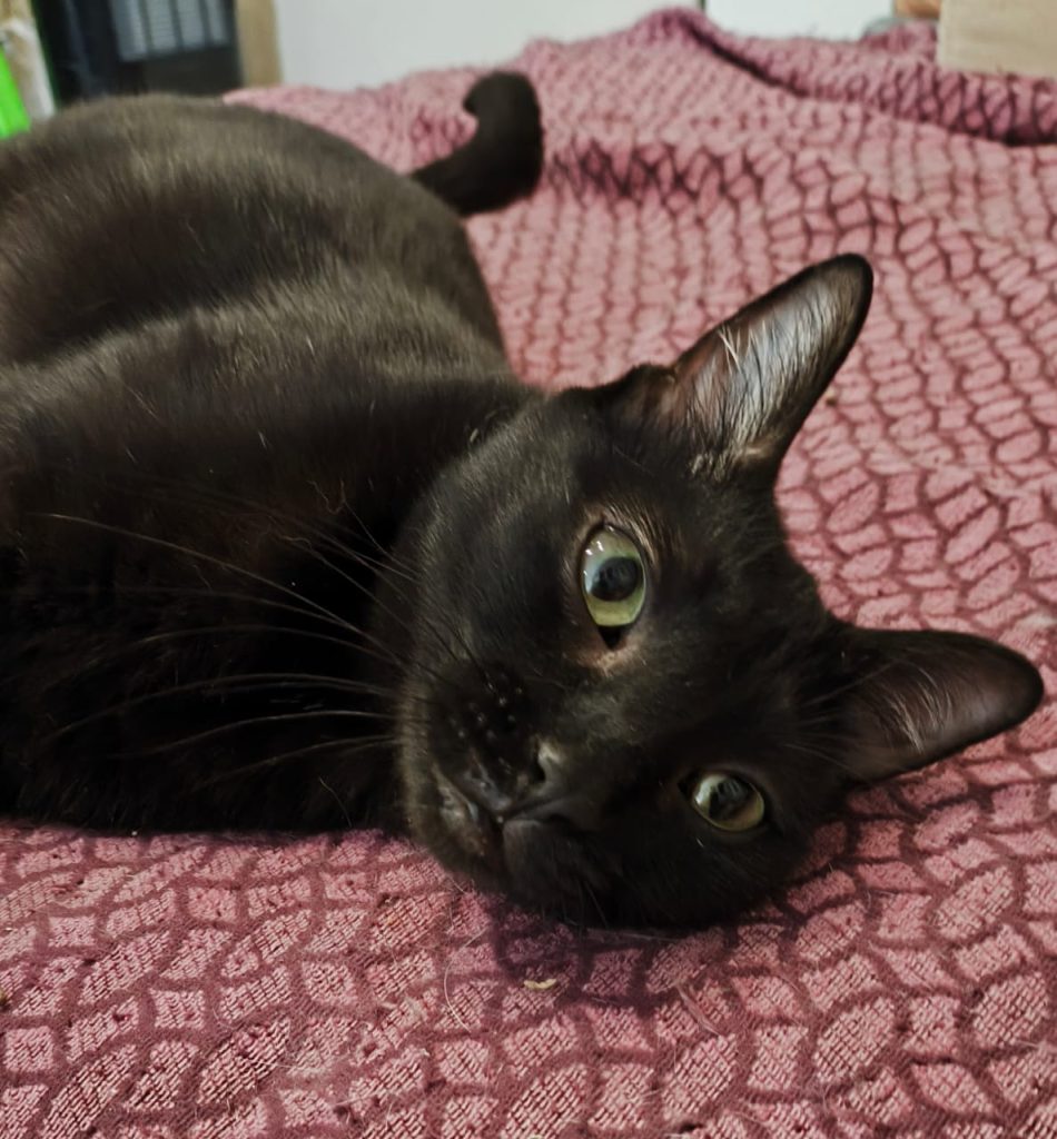 Julie en Chankira (13)