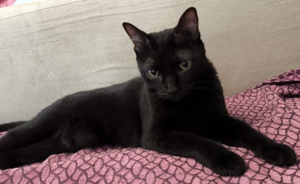 Julie en Chankira (15)