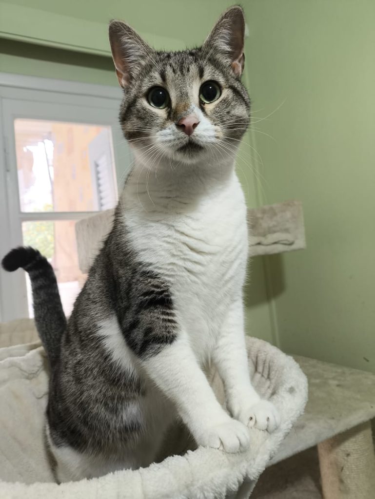 Julie en Chankira (19)