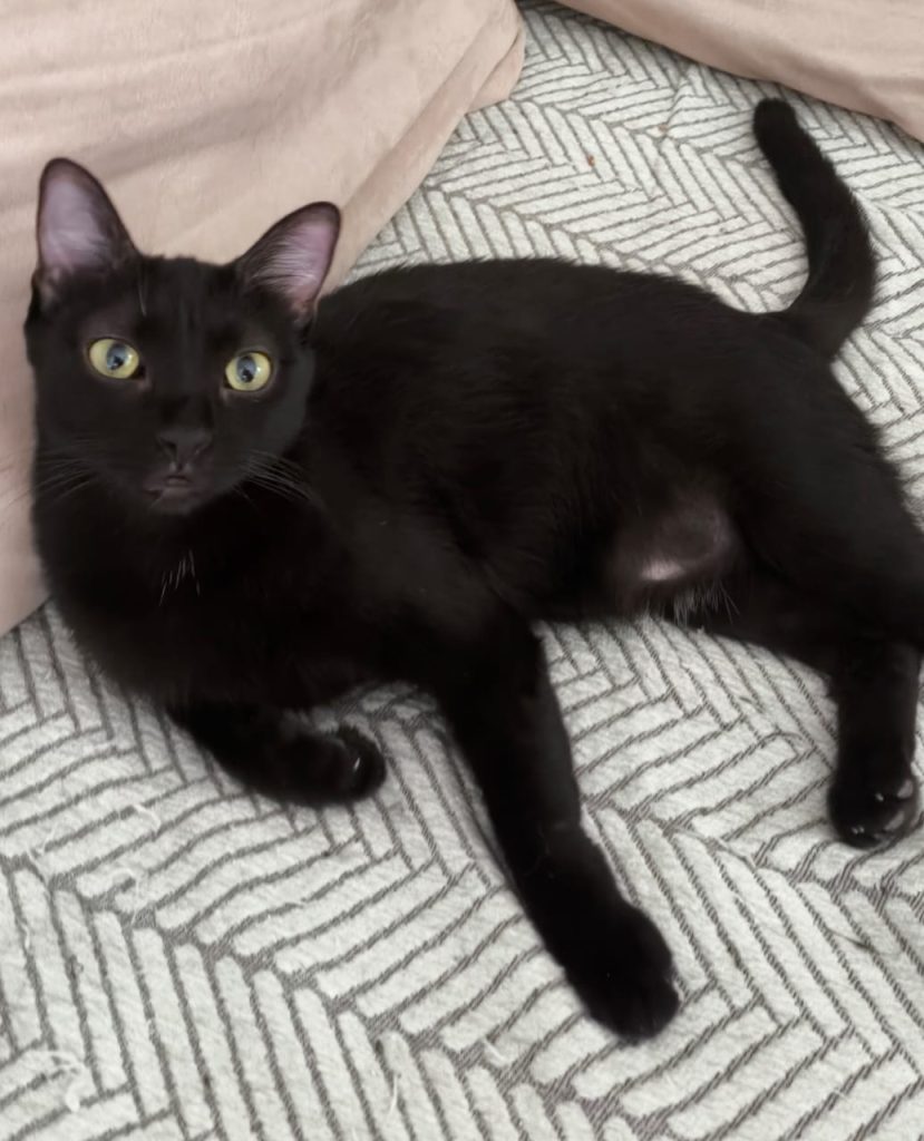 Julie en Chankira (3)