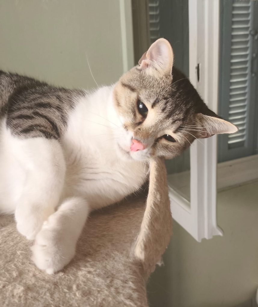 Julie en Chankira (7)