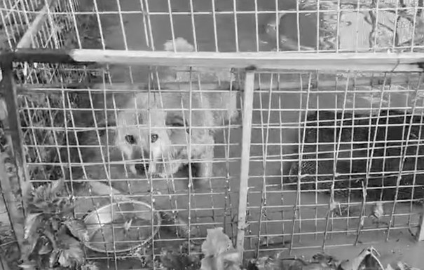 WhatsApp Image 2026-01-23 at 13.58.06 (1)