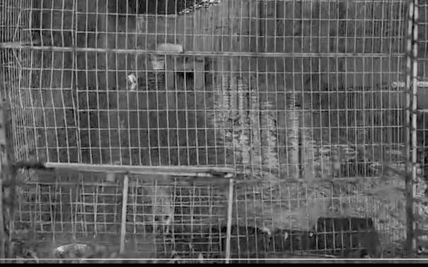 WhatsApp Image 2026-01-23 at 13.58.06 (2)