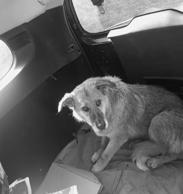 WhatsApp Image 2026-01-23 at 13.58.06 (3)