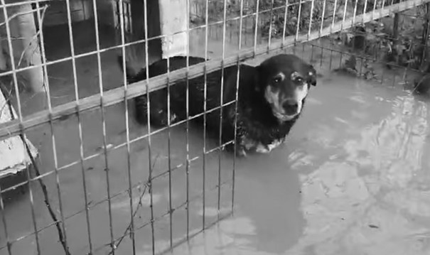 WhatsApp Image 2026-01-23 at 13.58.06 (4)