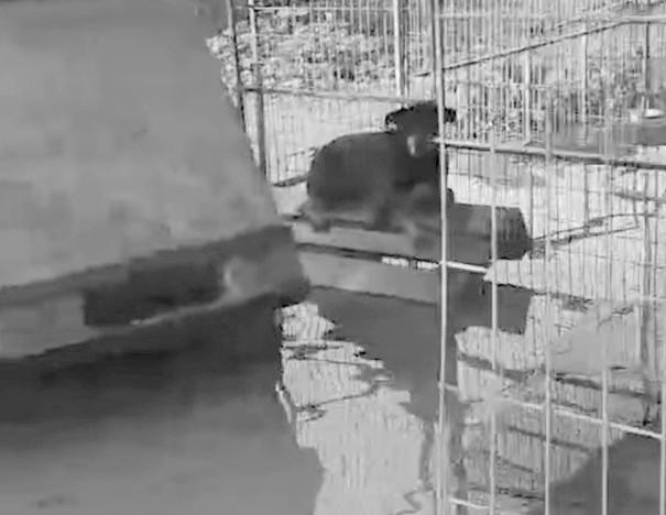 WhatsApp Image 2026-01-23 at 13.58.06 (5)