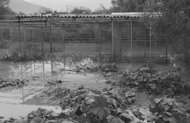 WhatsApp Image 2026-01-23 at 13.58.07 (1)