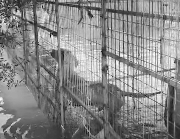 WhatsApp Image 2026-01-23 at 13.58.07 (2)