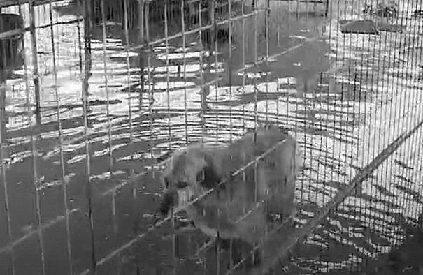 WhatsApp Image 2026-01-23 at 13.58.07 (3)