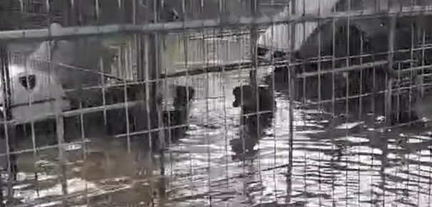 WhatsApp Image 2026-01-23 at 13.58.07