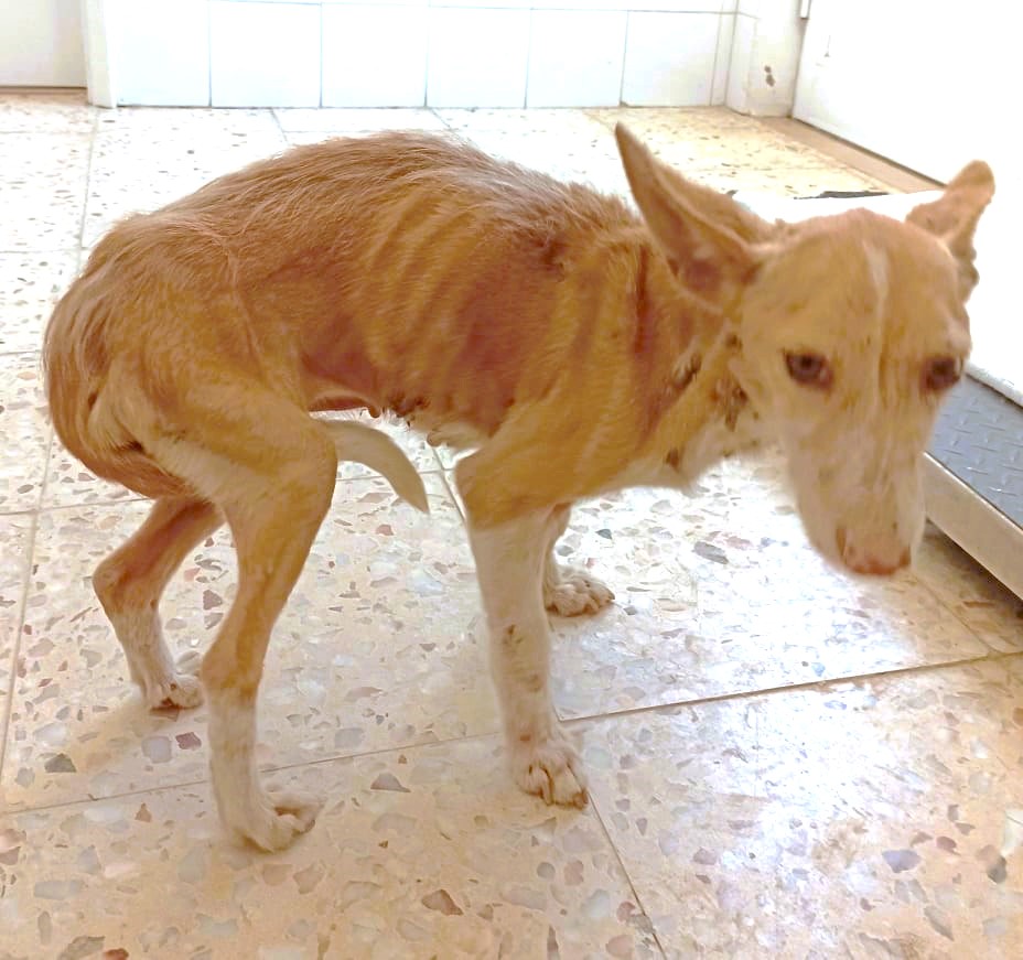 rio-maier277753880_302948501969104_7434469761783079070_n