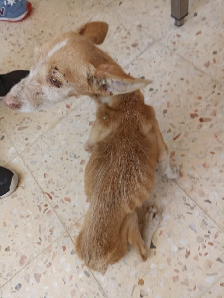 rio-maier277803676_302948488635772_2177203502791078824_n