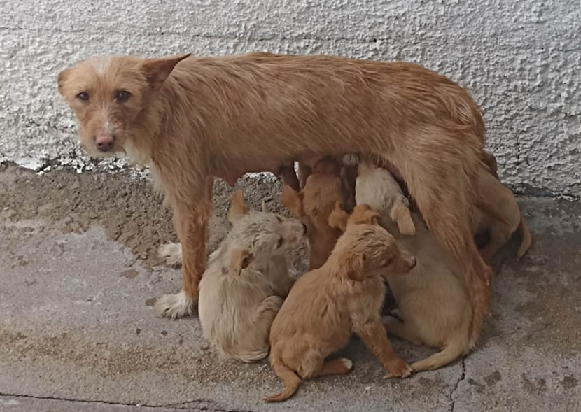 rio-maier337245086_207699775283325_4131895342278075669_n