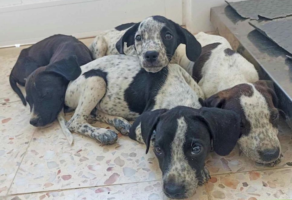 rio-maier365225251_596905362617033_3037759819871803230_n