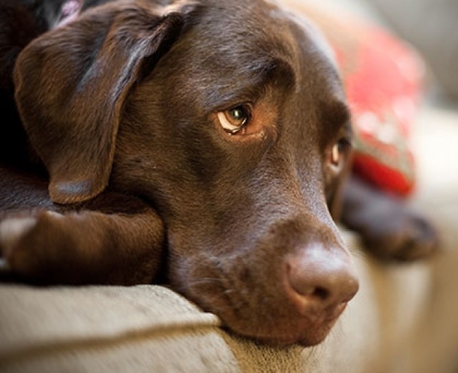 rio-maier368218843_600509718923264_2514248184875194952_n