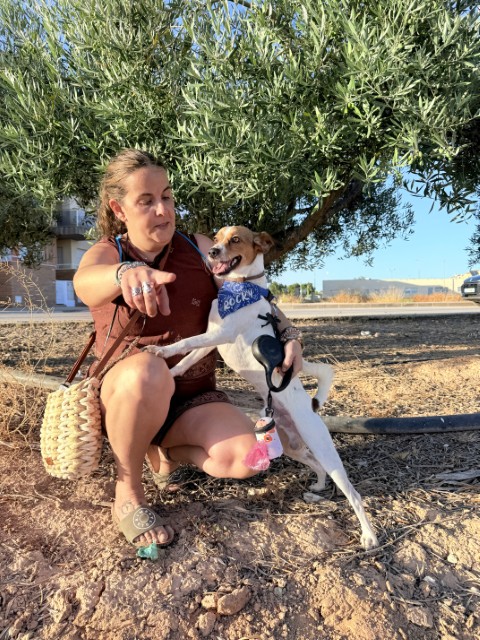 Simba (12) (Klein)