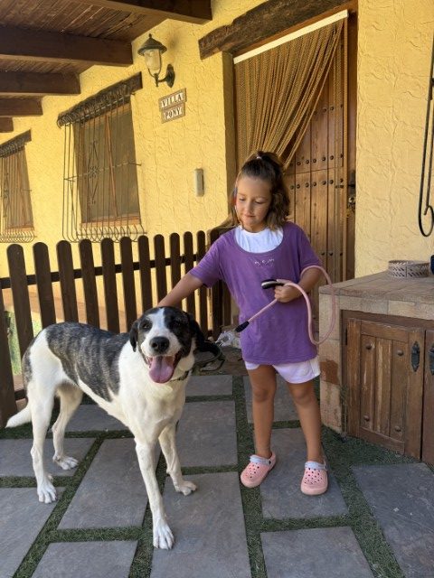 Bella (13) (Klein)