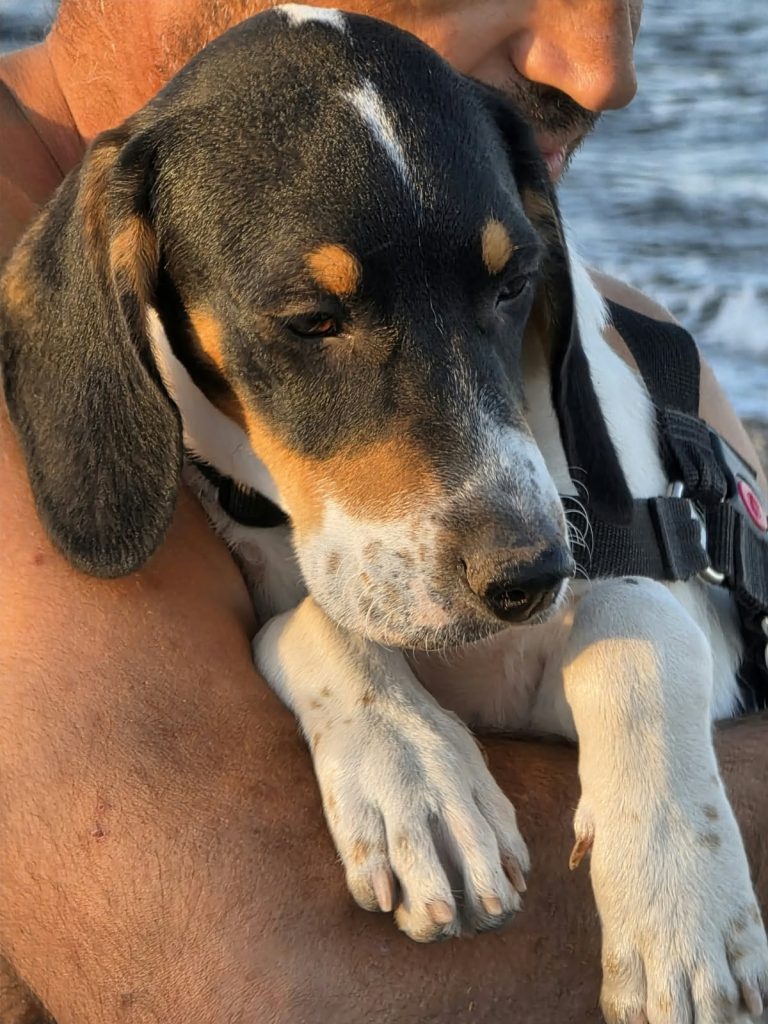 Rio (7)