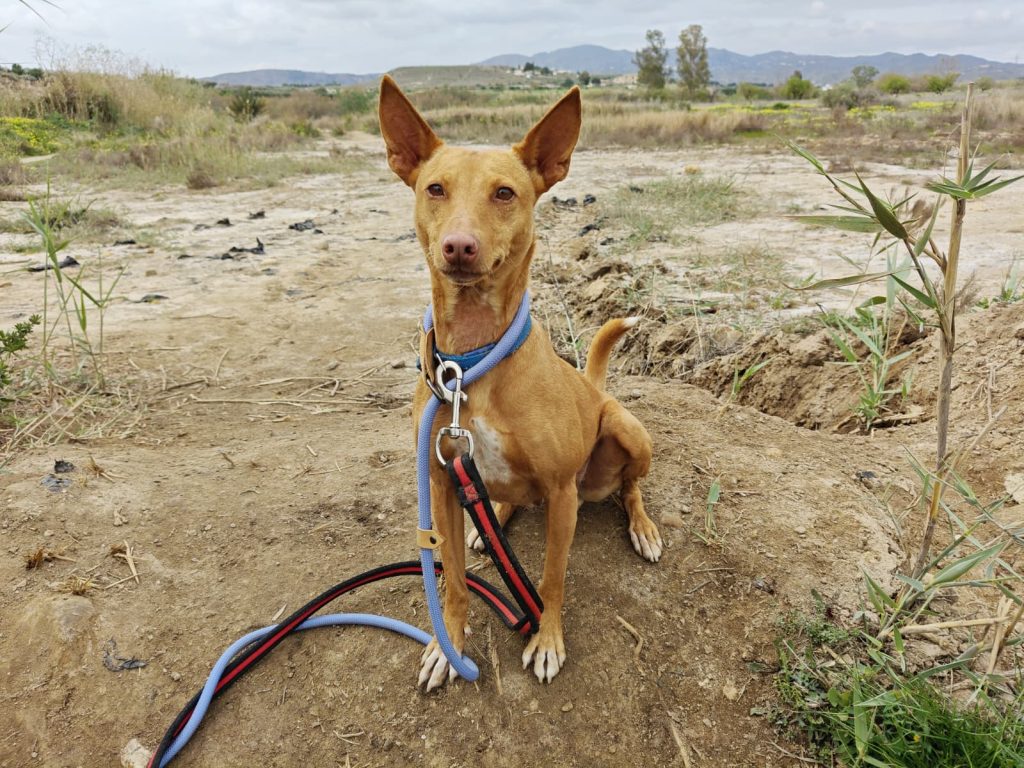 zoe (10)