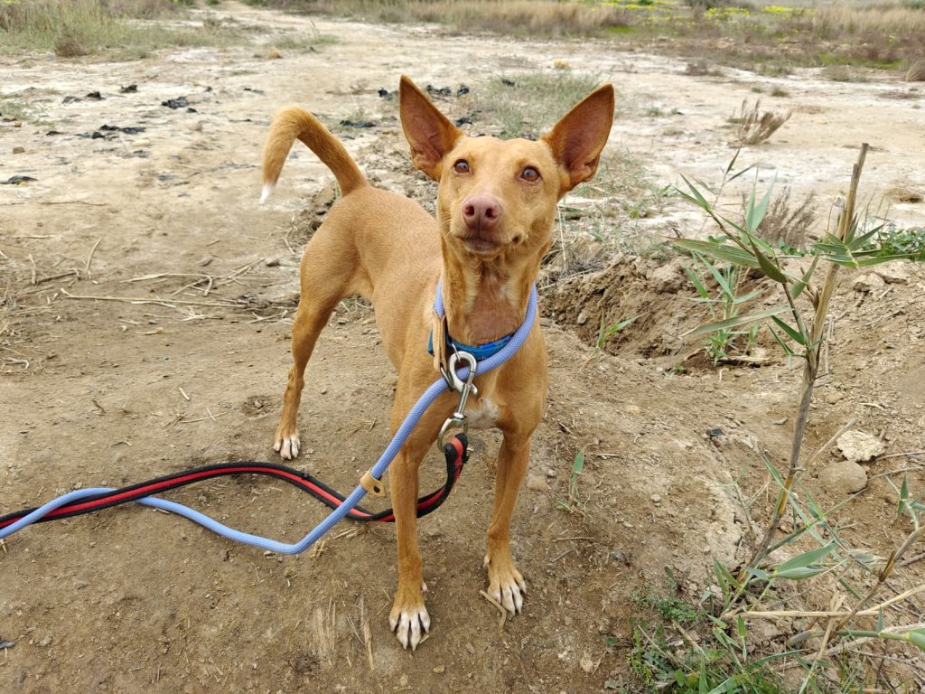 zoe (9)